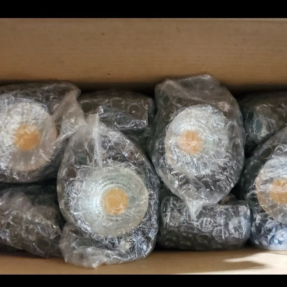 10W Low Voltage Landscape Lights LED（8packs）